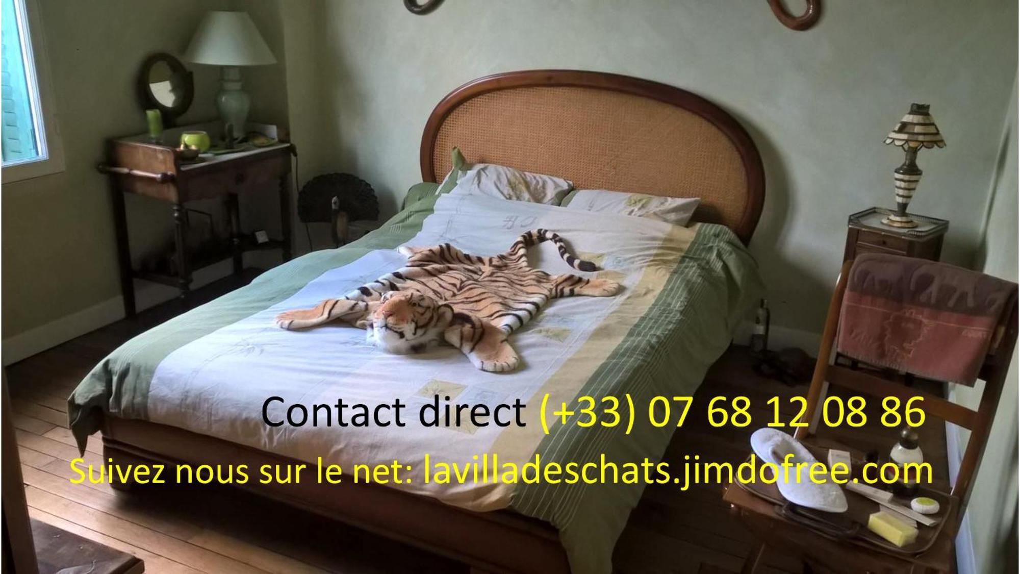 la villa des chats Andrésy Esterno foto
